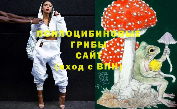 mdpv Арсеньев