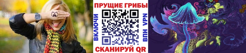 shop клад  Белозерск  Галлюциногенные грибы Cubensis  купить  сайты 